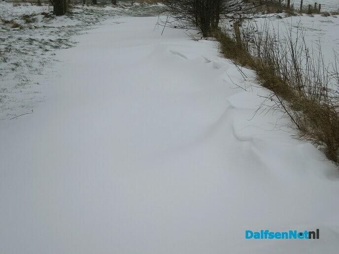 Het wordt nu echt winter! - Foto: Wim