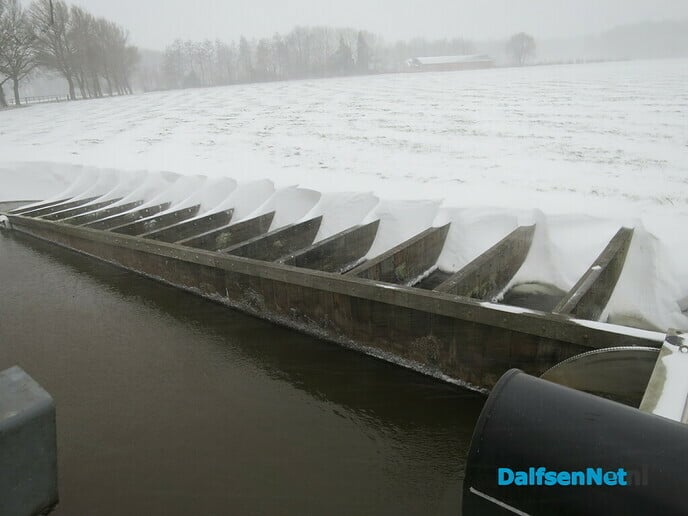 Het wordt nu echt winter! - Foto: Wim
