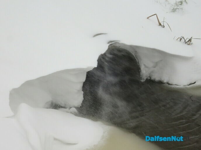 Het wordt nu echt winter! - Foto: Wim