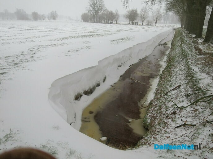 Het wordt nu echt winter! - Foto: Wim