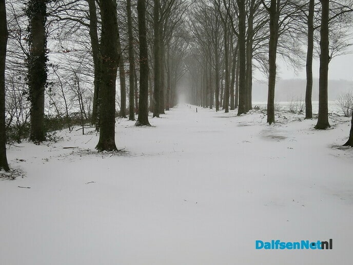 Het wordt nu echt winter! - Foto: Wim