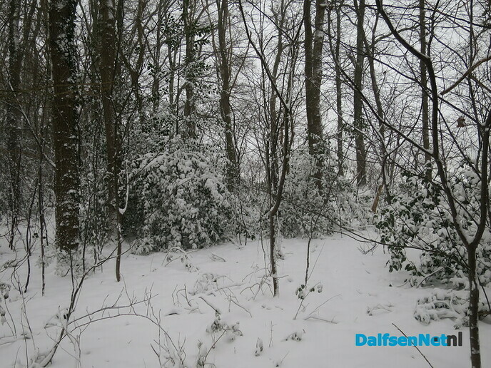 Het wordt nu echt winter! - Foto: Wim