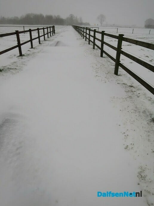 Het wordt nu echt winter! - Foto: Wim