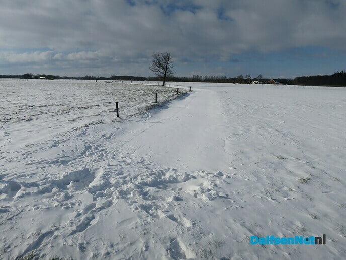 Winterse plaatjes rondje Hoonhorst - Foto: Wim