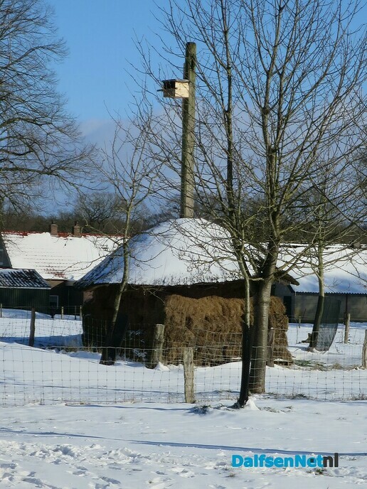 Winterse plaatjes rondje Hoonhorst - Foto: Wim