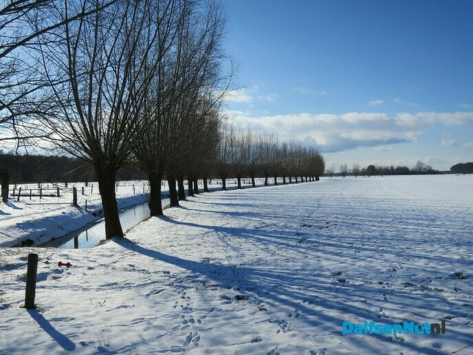Winterse plaatjes rondje Hoonhorst - Foto: Wim