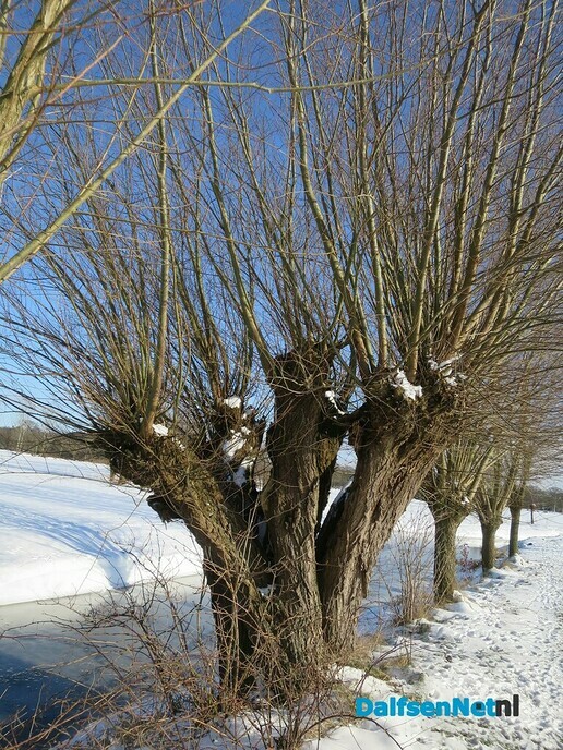 Winterse plaatjes rondje Hoonhorst - Foto: Wim