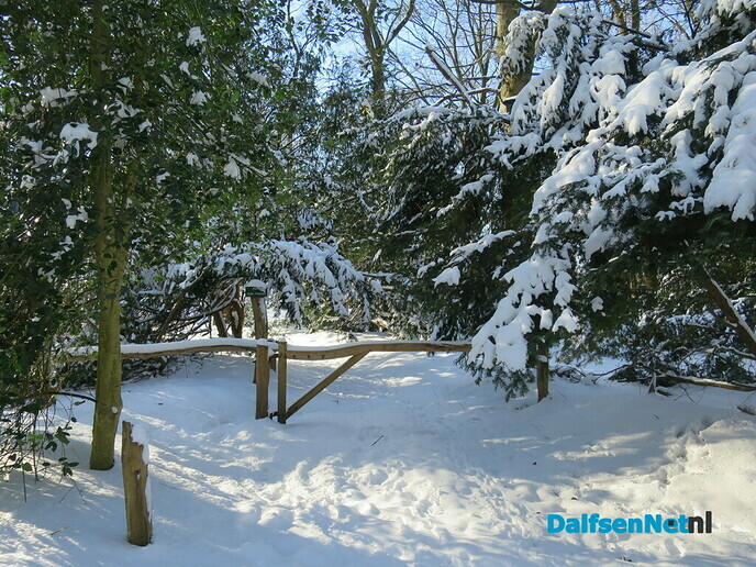 Winterse plaatjes rondje Hoonhorst - Foto: Wim