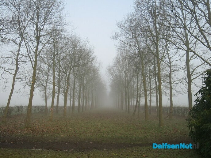 Den Berg in de mist en doorbrekende zon - Foto: Wim