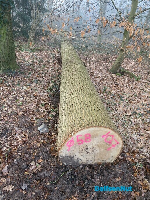 Den Berg in de mist en doorbrekende zon - Foto: Wim
