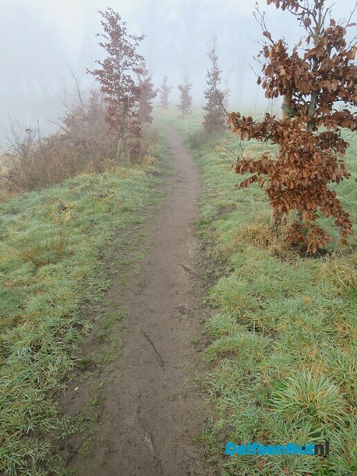 Den Berg in de mist en doorbrekende zon - Foto: Wim
