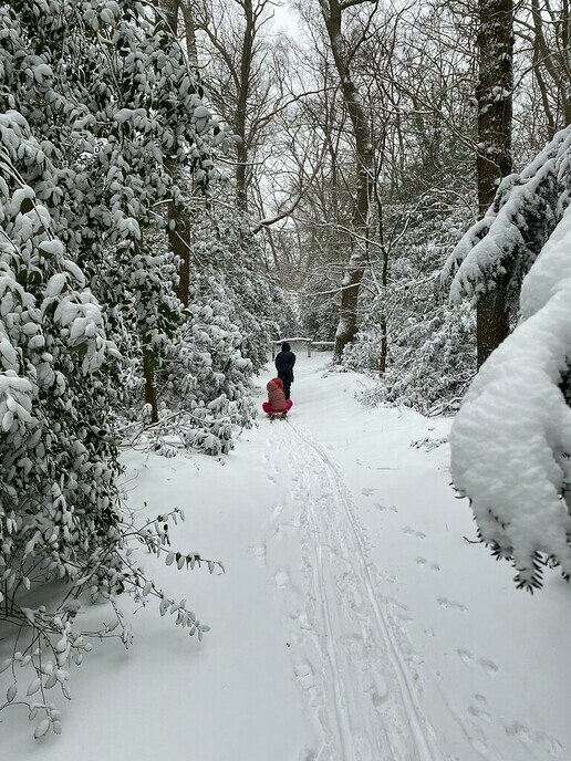 Foto’s van deze prachtige winterdag