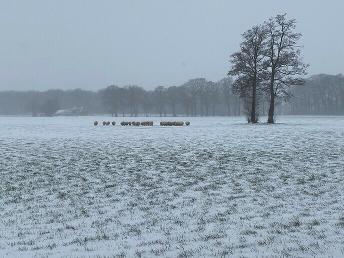 Foto’s van deze prachtige winterdag