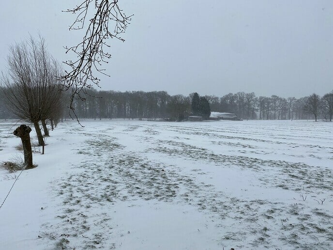 Foto’s van deze prachtige winterdag