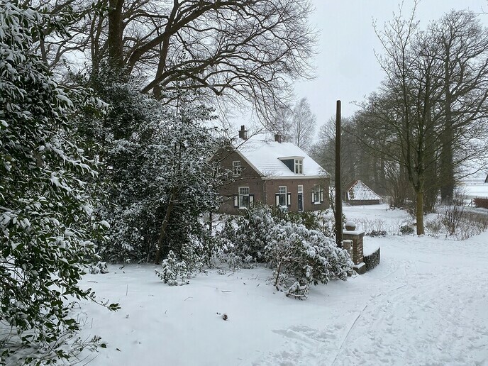 Foto’s van deze prachtige winterdag