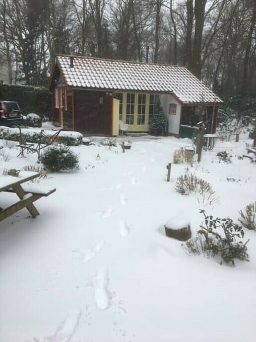 Sneeuwplaatjes - Foto: Ingezonden foto