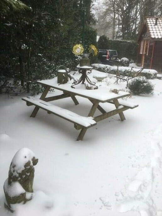 Sneeuwplaatjes - Foto: Ingezonden foto