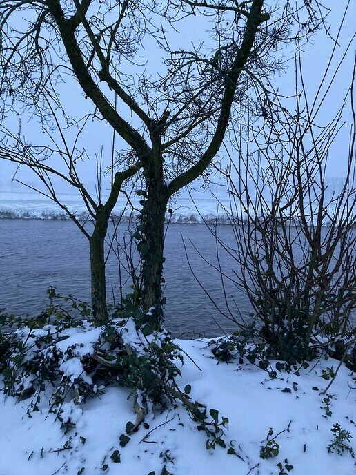 Ingezonden winterse sfeerplaatjes
