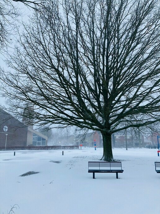 Ingezonden winterse sfeerplaatjes