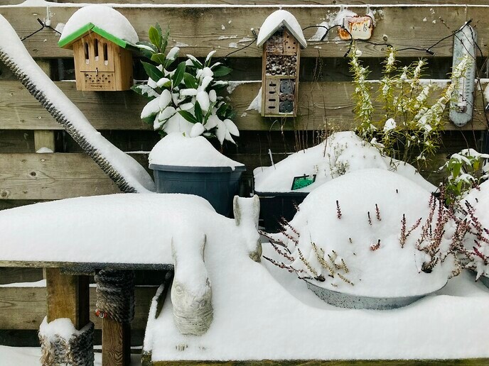 Ingezonden winterse sfeerplaatjes