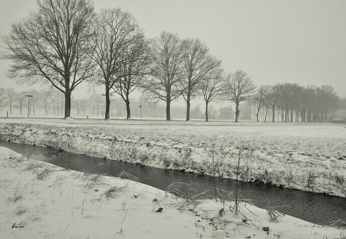 Nog meer foto’s van verschillende inzenders - Foto: Ingezonden foto