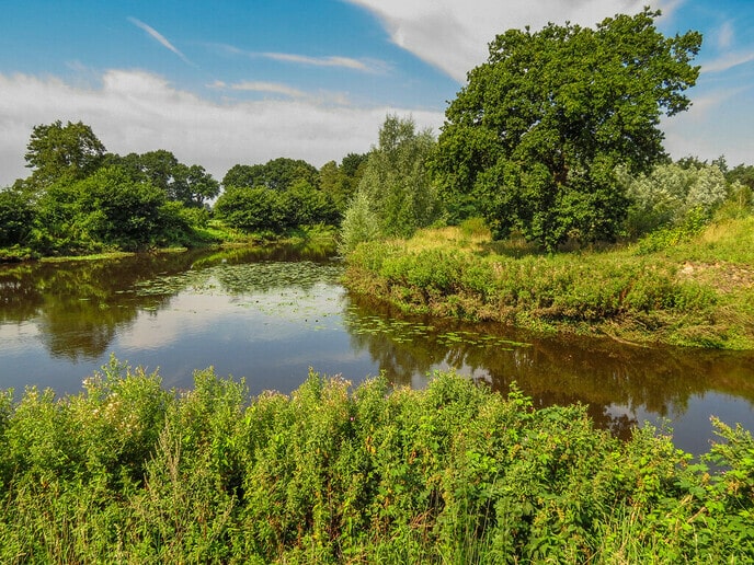 Landschap Overijssel breidt uit met 26 hectare natuur - Foto: Ingezonden foto