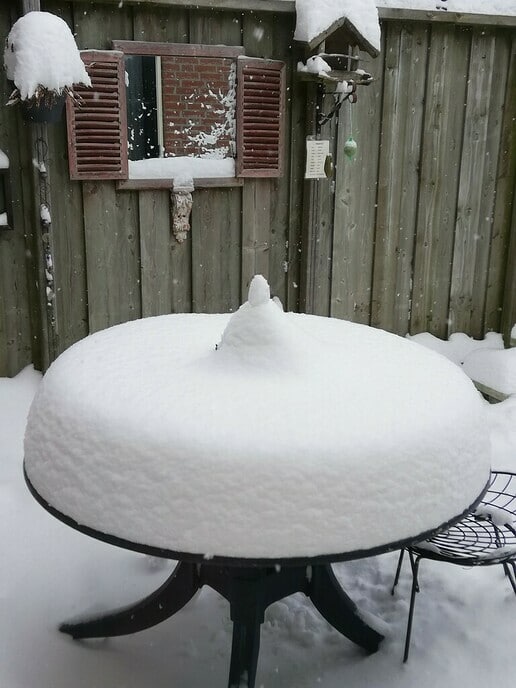 Sneeuwplaatjes - Foto: Ingezonden foto