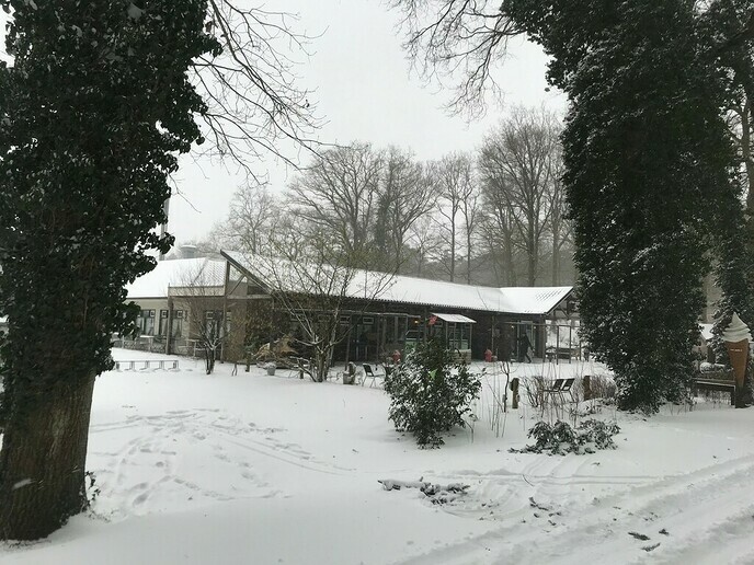 Ongekend veel sneeuw in het Sterrebos, heel veel