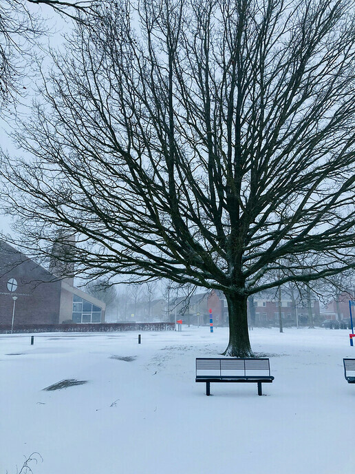 Nog meer foto’s van verschillende inzenders - Foto: Ingezonden foto