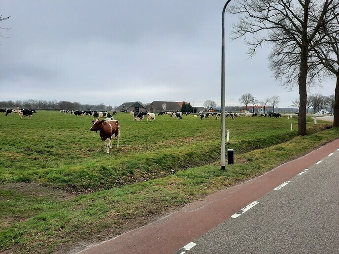T’ hekke is luss: dialect!! Noar buutn - Foto: Gruune Jopie