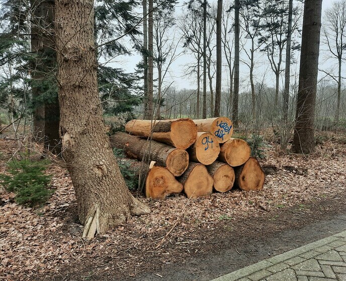 Holtzager - Foto: Gruune Jopie