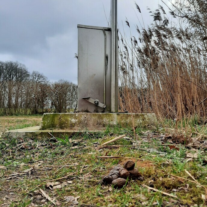 (On-)Verantwoordelijke honden-eigenaren - Foto: Ingezonden foto