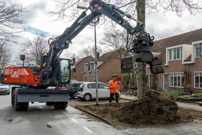  Nieuwe beplanting voor Langkamp - Foto: Paul Scholten