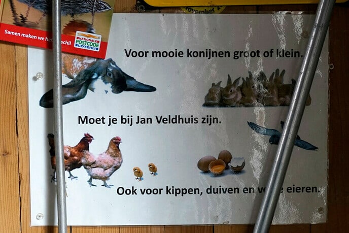 Jan Veldhuis is een echte dierenvriend - Foto: Paul Scholten