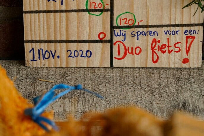 Elektrische duofiets Villa Kakelbont: bijna! - Foto: Paul Scholten