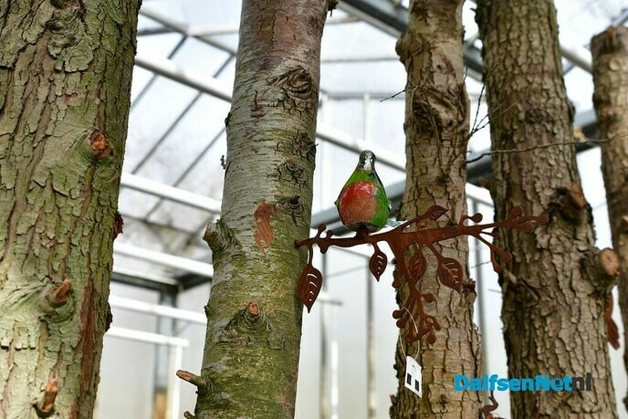 Eindelijk duidelijkheid… dit gebeurt er bij Kwekerij Onderdijk - Foto: Johan Bokma