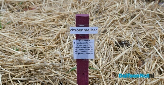 De Sociale Moestuin officieel geopend - Foto: Johan Bokma