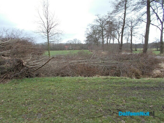 Snoeien aan de Blauwe dijk