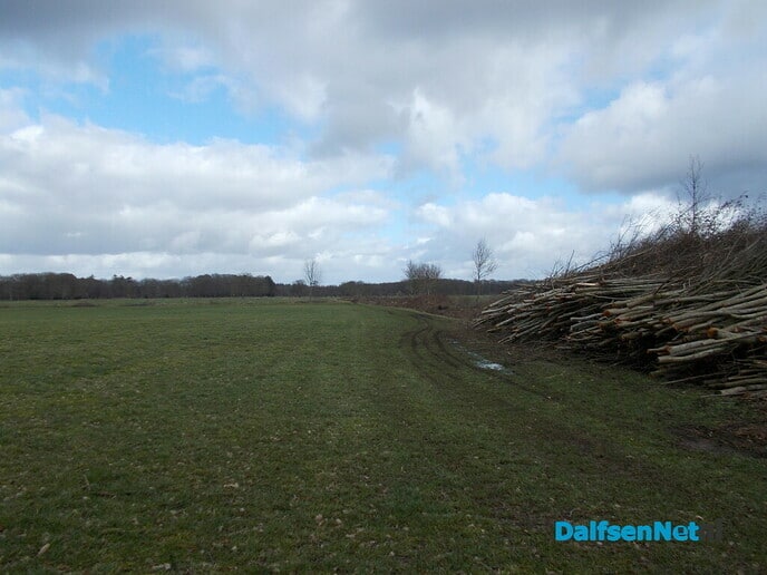 Snoeien aan de Blauwe dijk
