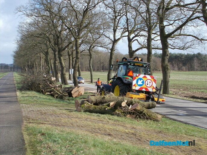 Bomen Rechterensedijk veel slechter dan verwacht