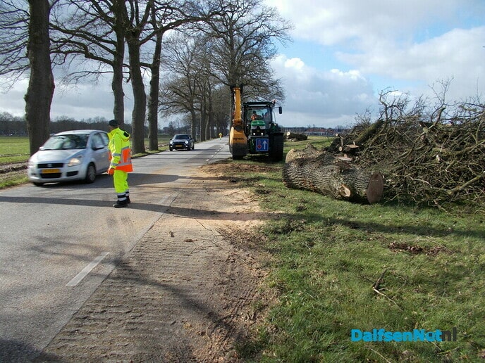 Bomen Rechterensedijk veel slechter dan verwacht