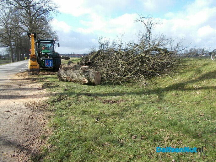 Bomen Rechterensedijk veel slechter dan verwacht