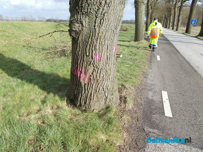 Bomen Rechterensedijk veel slechter dan verwacht
