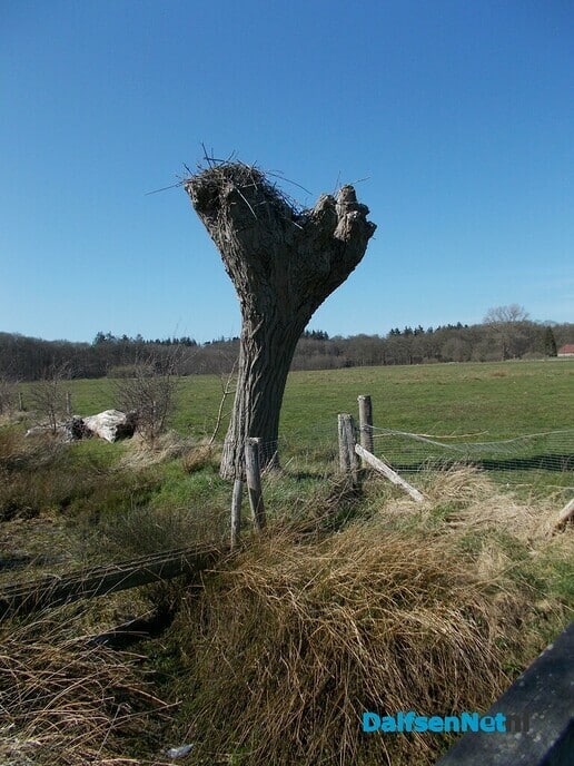 Zullen ze weer?