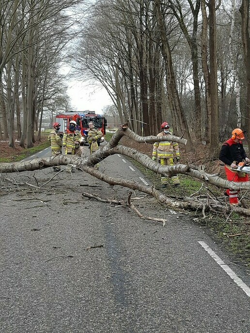 De wind is mede schuldig - Foto: Politie Dalfsen