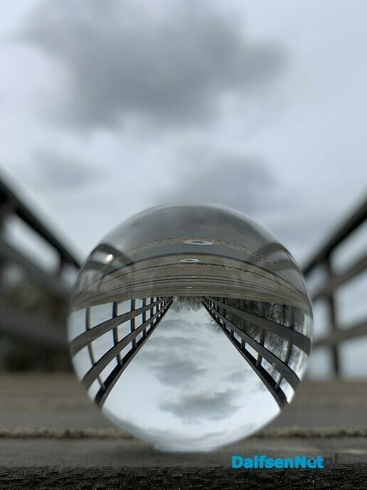 Foto - Foto: Ingezonden foto