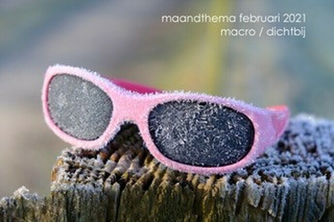 Maandthema MACRO-fotografie - Foto: Ingezonden foto