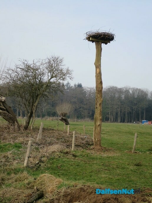 Met dank an L.O. stiet Uiverpoal weer rechop - Foto: Wim
