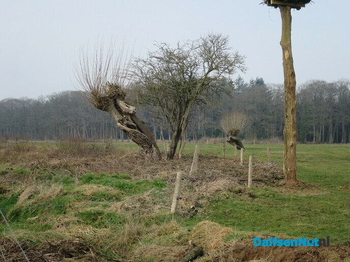 Met dank an L.O. stiet Uiverpoal weer rechop - Foto: Wim