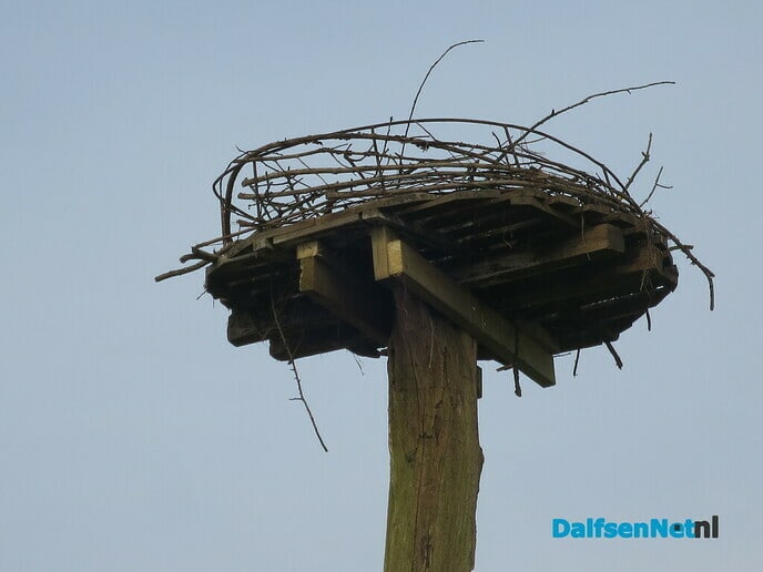 Met dank an L.O. stiet Uiverpoal weer rechop - Foto: Wim